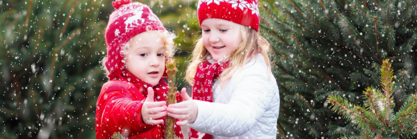 Two young children in winter clothes stand among evergreen trees, reaching out their hands as snow falls around them, capturing the magic of the holiday season for a single parent and their family. From Lawrence Law Firm New Jersey Family Lawyer.