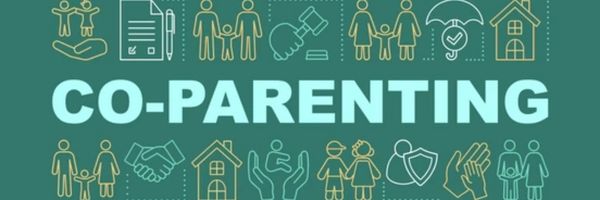 The word "Co-Parenting" is centered on a green background, surrounded by various line art icons representing families, legal documents, houses, and children. From Lawrence Law Firm New Jersey Family Lawyer.